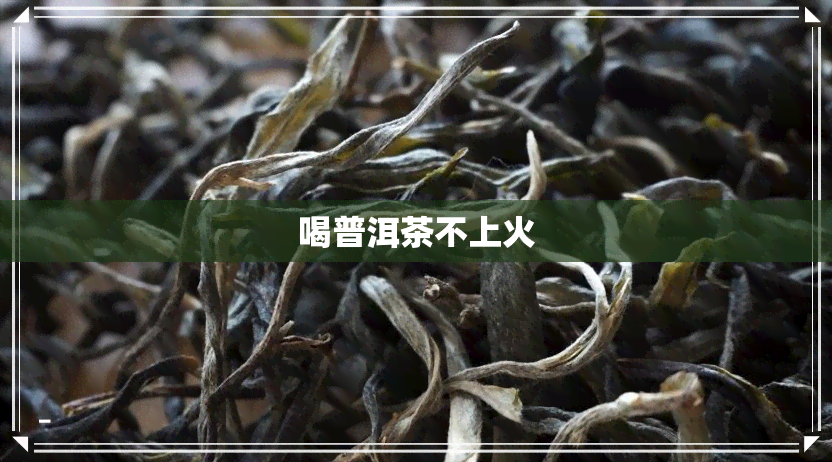 喝普洱茶不上火