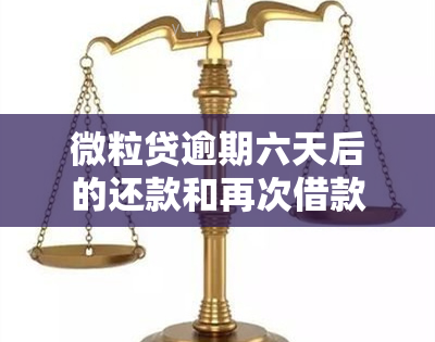 微粒贷逾期六天后的还款和再次借款可能性：详细解析及建议