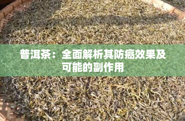 普洱茶：全面解析其防癌效果及可能的副作用