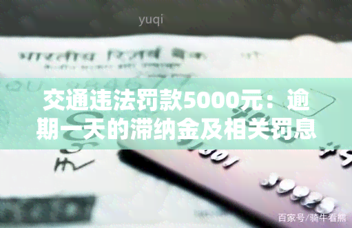 交通违法罚款5000元：逾期一天的滞纳金及相关罚息详细解析