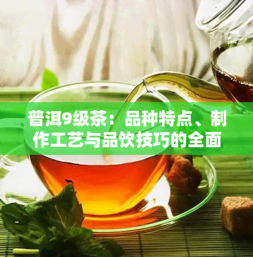 普洱9级茶：品种特点、制作工艺与品饮技巧的全面解析