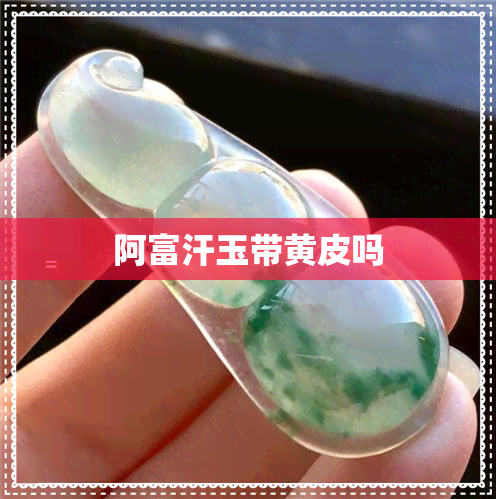 阿富汗玉带黄皮吗