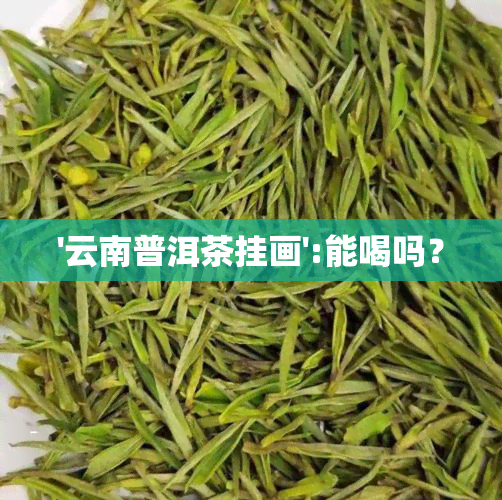 '云南普洱茶挂画':能喝吗？