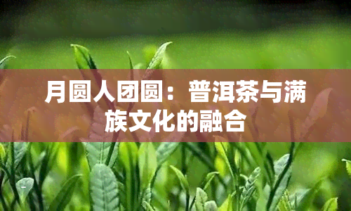 月圆人团圆：普洱茶与满族文化的融合