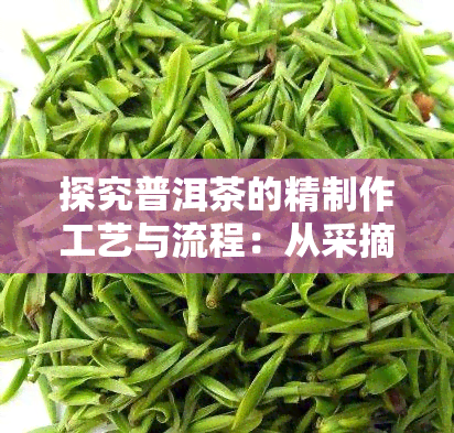 探究普洱茶的精制作工艺与流程：从采摘到熟茶的全过程详解