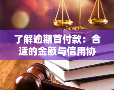 了解逾期首付款：合适的金额与信用协商策略