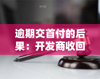 逾期交首付的后果：开发商收回房子并没收定金