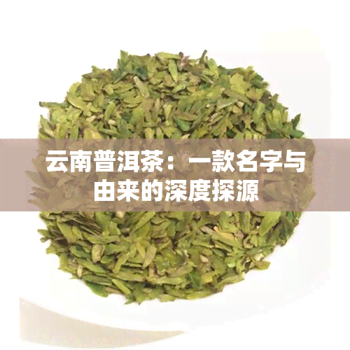 云南普洱茶：一款名字与由来的深度探源