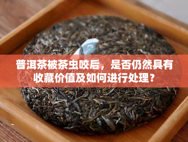 普洱茶被茶虫咬后，是否仍然具有收藏价值及如何进行处理？