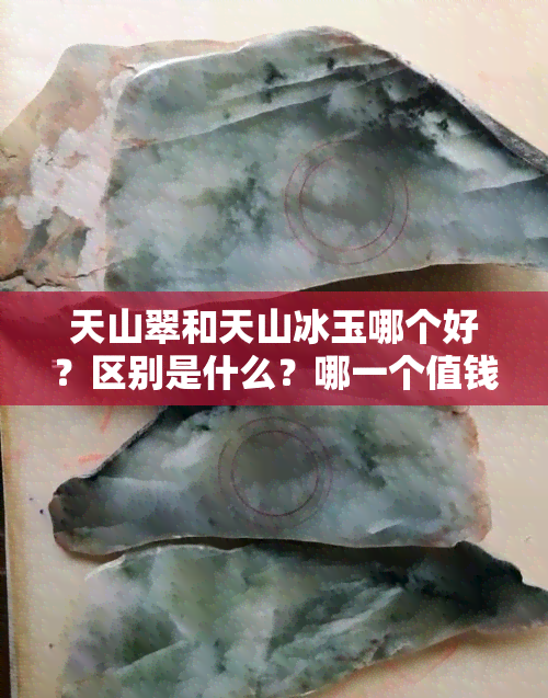 天山翠和天山冰玉哪个好？区别是什么？哪一个值钱？与天山冰翠有何不同？