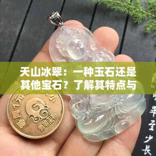 天山冰翠：一种玉石还是其他宝石？了解其特点与鉴别方法