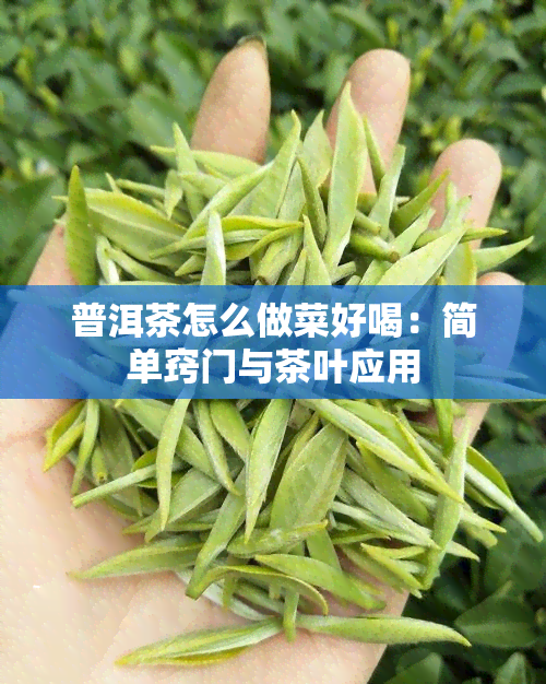 普洱茶怎么做菜好喝：简单窍门与茶叶应用