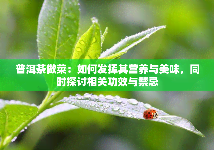 普洱茶做菜：如何发挥其营养与美味，同时探讨相关功效与禁忌