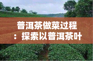 普洱茶做菜过程：探索以普洱茶叶为调料的烹饪新方法