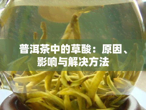 普洱茶中的草酸：原因、影响与解决方法