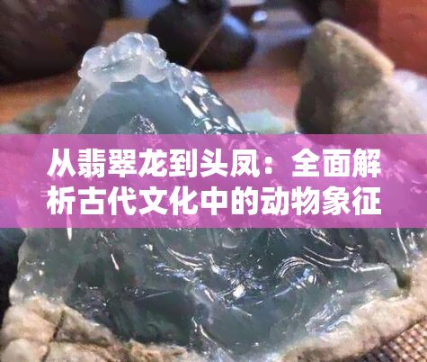 从翡翠龙到头凤：全面解析古代文化中的动物象征意义及相关传说故事