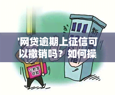 '网贷逾期上可以撤销吗？如何操作和解决？'