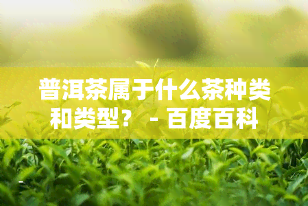 普洱茶属于什么茶种类和类型？ - 百度百科