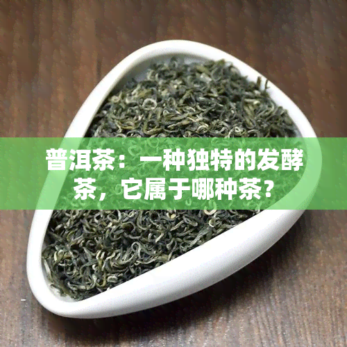 普洱茶：一种独特的发酵茶，它属于哪种茶？