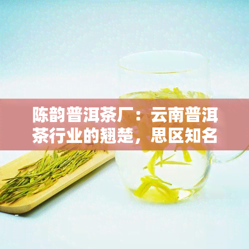 陈韵普洱茶厂：云南普洱茶行业的翘楚，思区知名企业