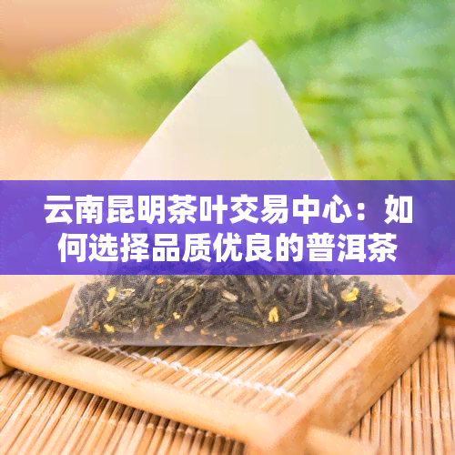 云南昆明茶叶交易中心：如何选择品质优良的普洱茶店铺？