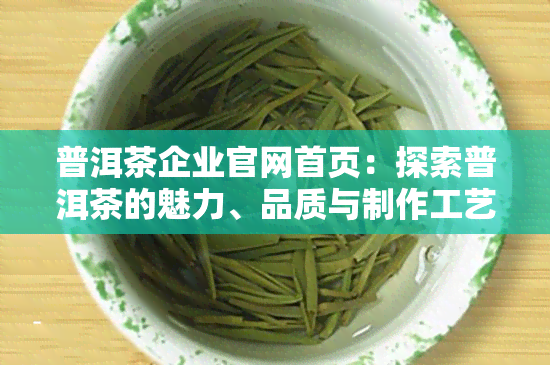 普洱茶企业官网首页：探索普洱茶的魅力、品质与制作工艺，解答您的所有疑问