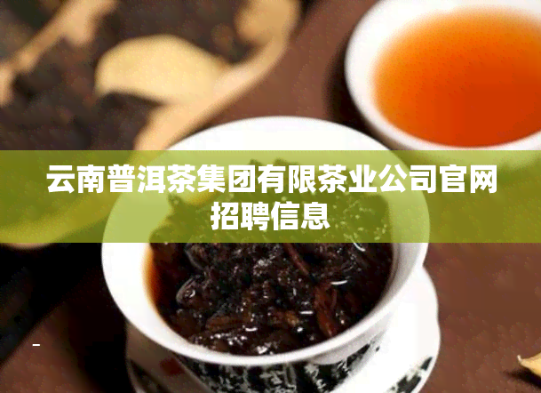 云南普洱茶集团有限茶业公司官网招聘信息