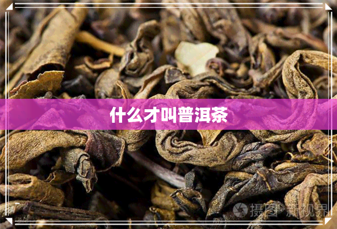 什么才叫普洱茶