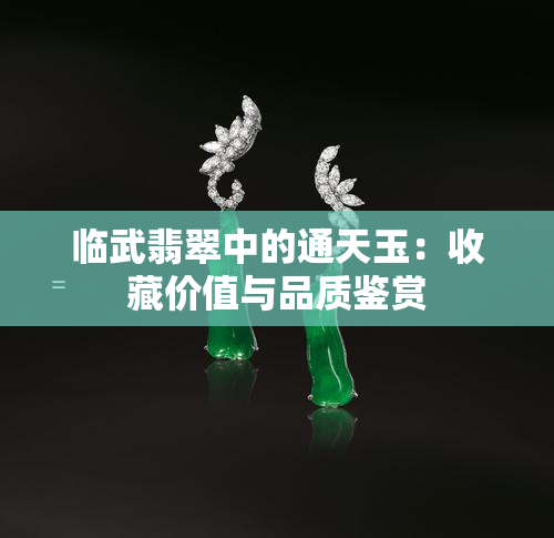 临武翡翠中的通天玉：收藏价值与品质鉴赏