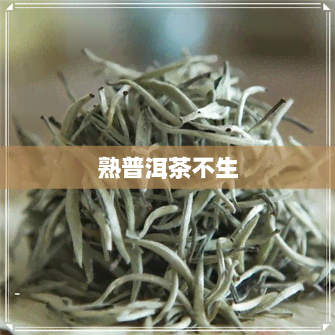 熟普洱茶不生