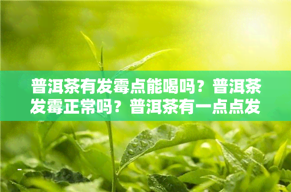 普洱茶有发霉点能喝吗？普洱茶发霉正常吗？普洱茶有一点点发霉还能喝吗？