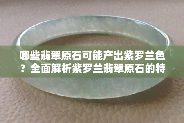 哪些翡翠原石可能产出紫罗兰色？全面解析紫罗兰翡翠原石的特征与鉴别方法