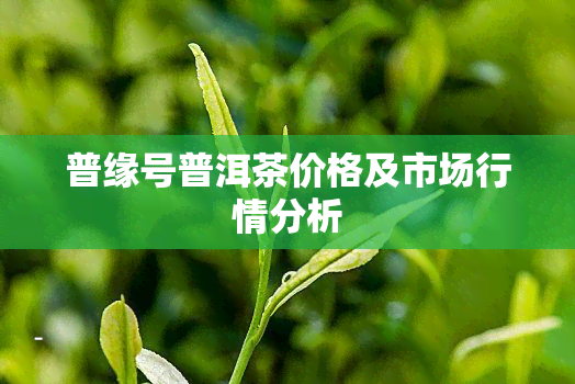 普缘号普洱茶价格及市场行情分析