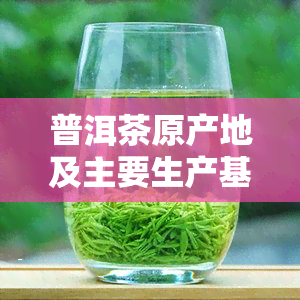 普洱茶原产地及主要生产基地介绍：探寻全球更大的普洱茶种植与加工基地