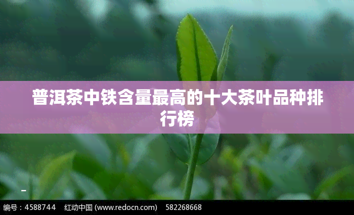 普洱茶中铁含量更高的十大茶叶品种排行榜