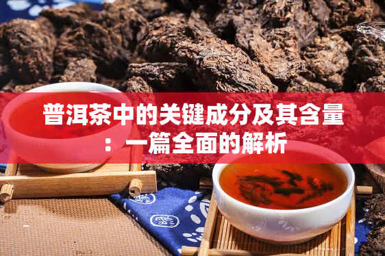 普洱茶中的关键成分及其含量：一篇全面的解析