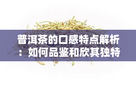 普洱茶的口感特点解析：如何品鉴和欣其独特的风味？