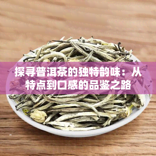 探寻普洱茶的独特韵味：从特点到口感的品鉴之路