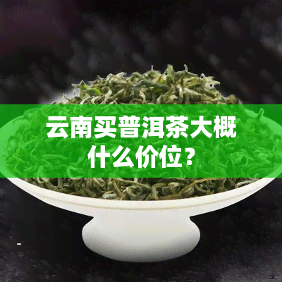 云南买普洱茶大概什么价位？