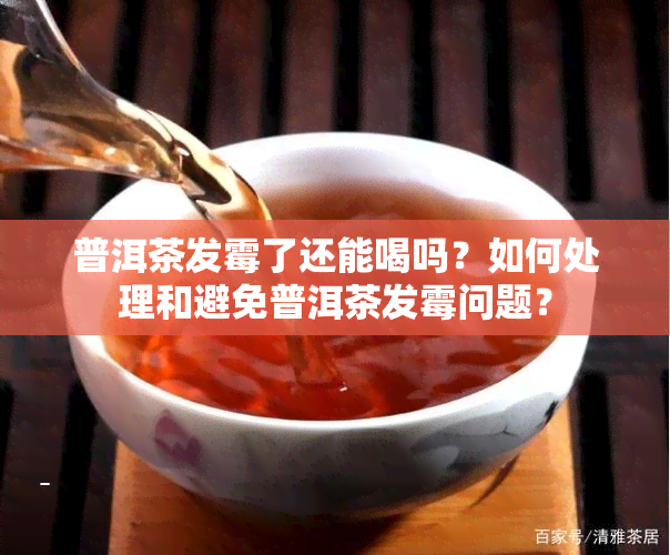 普洱茶发霉了还能喝吗？如何处理和避免普洱茶发霉问题？