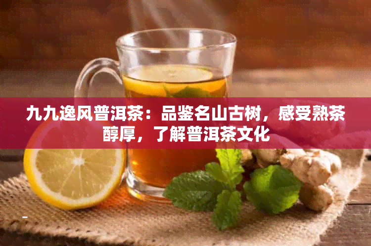 九九逸风普洱茶：品鉴名山古树，感受熟茶醇厚，了解普洱茶文化