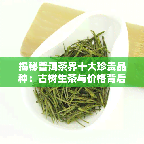 揭秘普洱茶界十大珍贵品种：古树生茶与价格背后的故事