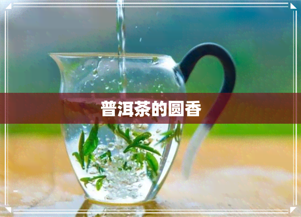 普洱茶的圆香