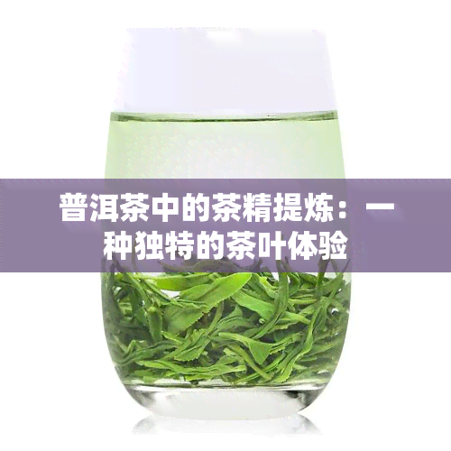 普洱茶中的茶精提炼：一种独特的茶叶体验