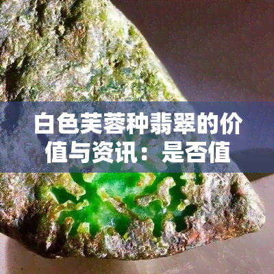 白色芙蓉种翡翠的价值与资讯：是否值得投资？