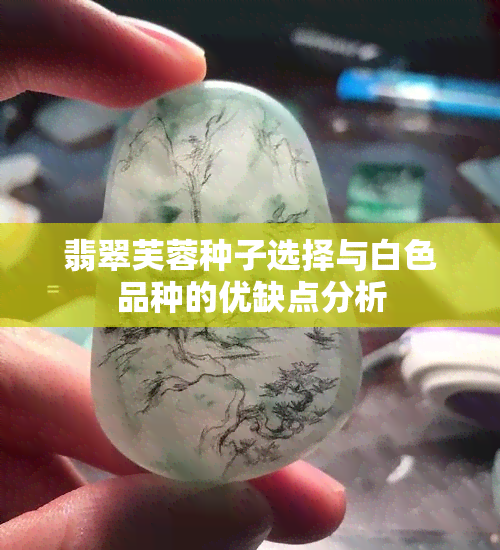 翡翠芙蓉种子选择与白色品种的优缺点分析