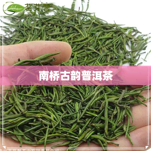 南桥古韵普洱茶