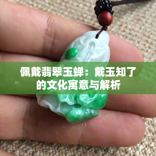 佩戴翡翠玉蝉：戴玉知了的文化寓意与解析