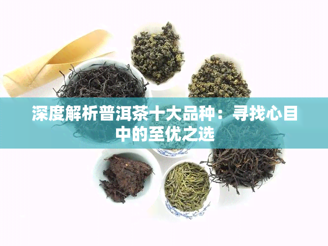 深度解析普洱茶十大品种：寻找心目中的至优之选