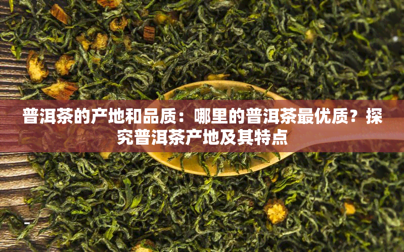 普洱茶的产地和品质：哪里的普洱茶更优质？探究普洱茶产地及其特点